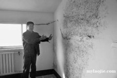 苏州园区专业房屋维修改造墙面刷白翻新及防水补漏