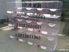 供应鸡鸽兔笼，狐狸笼，貉笼，鹌鹑笼，宠物笼及饮水器,食盒
